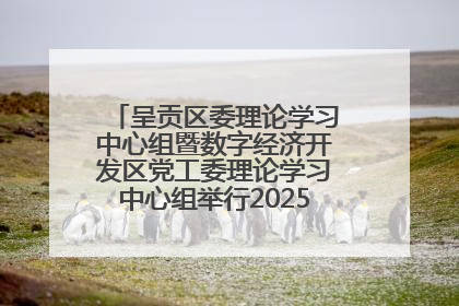 呈贡区委理论学习中心组暨数字经济开发区党工委理论学习中心组举行2025年第七次学习会议