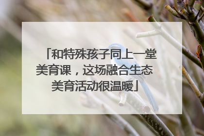 和特殊孩子同上一堂美育课，这场融合生态美育活动很温暖