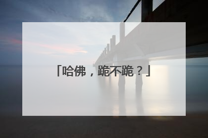 哈佛，跪不跪？