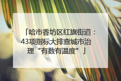 哈市香坊区红旗街道：43项指标大排查城市治理“有数有温度”