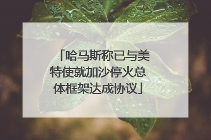 哈马斯称已与美特使就加沙停火总体框架达成协议