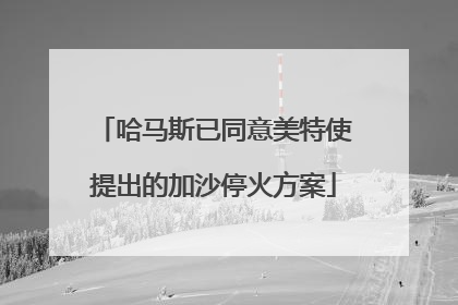 哈马斯已同意美特使提出的加沙停火方案