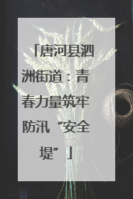 唐河县泗洲街道：青春力量筑牢防汛“安全堤”