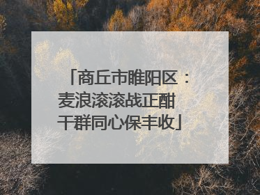 商丘市睢阳区：麦浪滚滚战正酣 干群同心保丰收