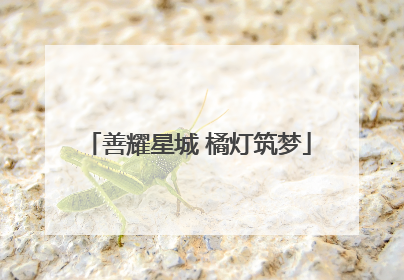 善耀星城 橘灯筑梦