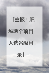 喜报！肥城两个项目入选省级目录
