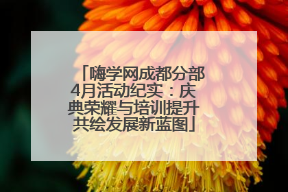 嗨学网成都分部4月活动纪实：庆典荣耀与培训提升共绘发展新蓝图