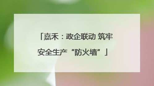 嘉禾：政企联动 筑牢安全生产“防火墙”