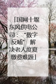 国网十堰东风供电公司：“数字反哺” 解决老人度夏缴费难题