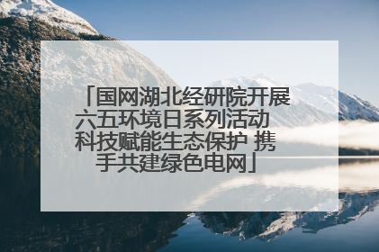 国网湖北经研院开展六五环境日系列活动 科技赋能生态保护 携手共建绿色电网