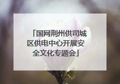 国网荆州供司城区供电中心开展安全文化专题会