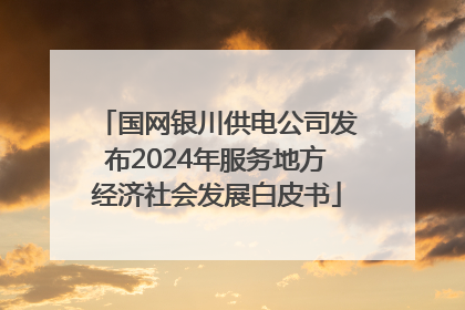 国网银川供电公司发布2024年服务地方经济社会发展白皮书