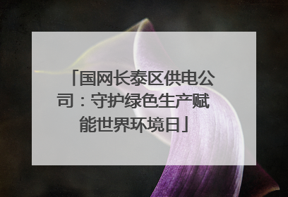 国网长泰区供电公司：守护绿色生产赋能世界环境日