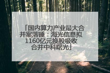 国内算力产业最大合并案落锤：海光信息拟1160亿元换股吸收合并中科曙光