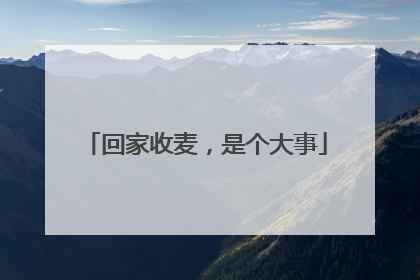 回家收麦，是个大事