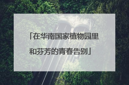 在华南国家植物园里和芬芳的青春告别