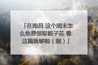 在南昌 这个周末怎么免费领取栀子花 看这篇就够啦（图）