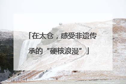 在太仓，感受非遗传承的“硬核浪漫”