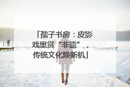 孺子书房：皮影戏里赏“非遗”，传统文化焕新机