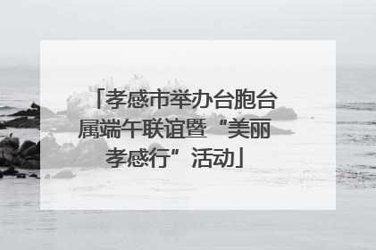 孝感市举办台胞台属端午联谊暨“美丽孝感行”活动