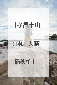 孝昌丰山:雨后天晴插秧忙