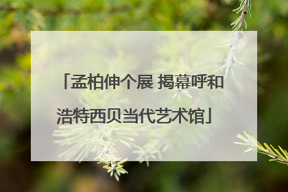 孟柏伸个展 揭幕呼和浩特西贝当代艺术馆