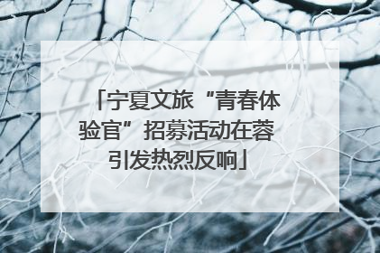 宁夏文旅“青春体验官”招募活动在蓉引发热烈反响