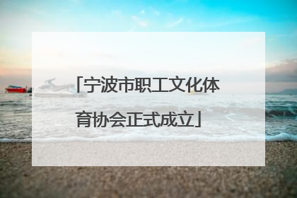 宁波市职工文化体育协会正式成立
