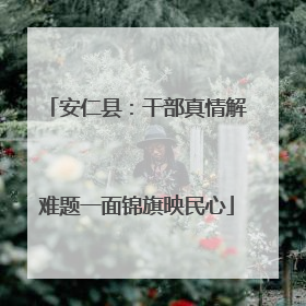 安仁县：干部真情解难题一面锦旗映民心