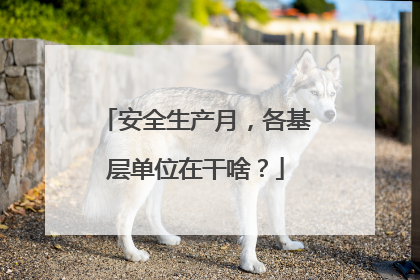 安全生产月，各基层单位在干啥？