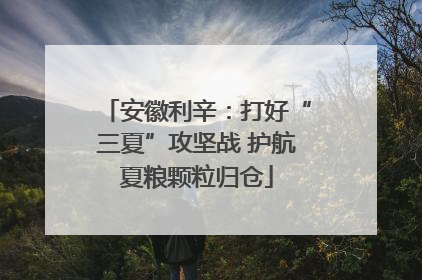 安徽利辛：打好“三夏”攻坚战 护航夏粮颗粒归仓