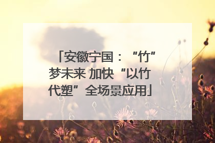 安徽宁国：“竹”梦未来 加快“以竹代塑”全场景应用