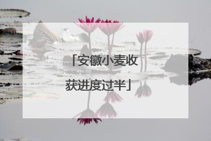 安徽小麦收获进度过半