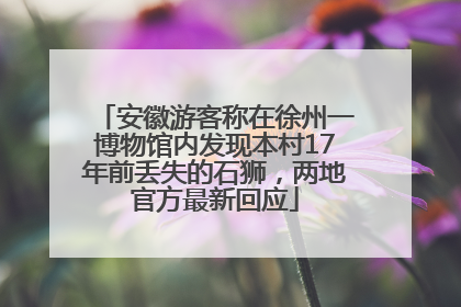 安徽游客称在徐州一博物馆内发现本村17年前丢失的石狮，两地官方最新回应