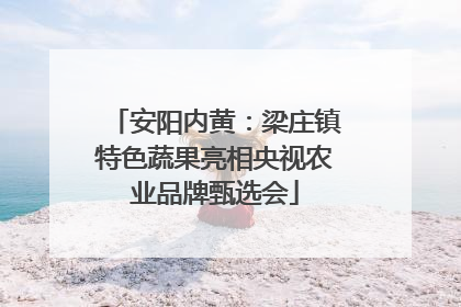 安阳内黄：梁庄镇特色蔬果亮相央视农业品牌甄选会