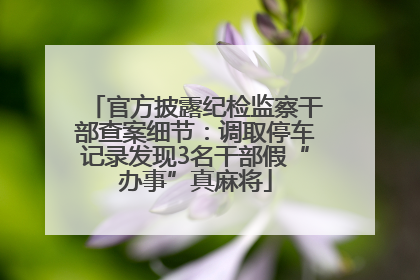 官方披露纪检监察干部查案细节：调取停车记录发现3名干部假“办事”真麻将