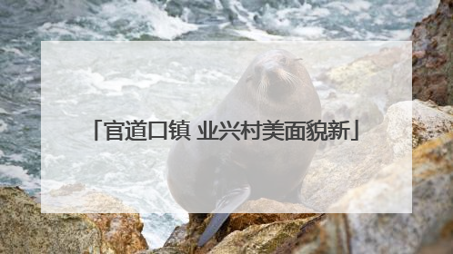 官道口镇 业兴村美面貌新