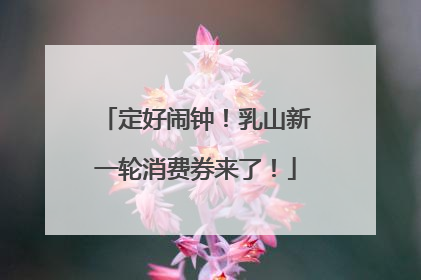 定好闹钟！乳山新一轮消费券来了！