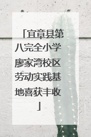 宜章县第八完全小学廖家湾校区劳动实践基地喜获丰收