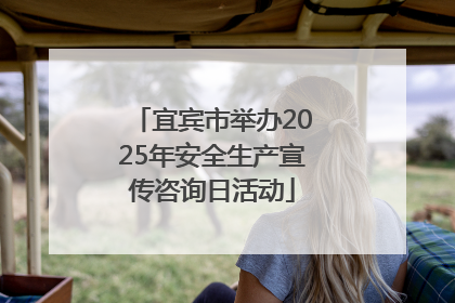 宜宾市举办2025年安全生产宣传咨询日活动