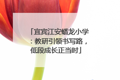 宜宾江安蟠龙小学：教研引领书写路，低段成长正当时