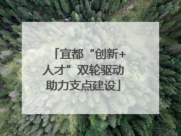 宜都“创新+人才”双轮驱动助力支点建设