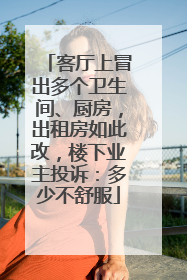 客厅上冒出多个卫生间、厨房，出租房如此改，楼下业主投诉：多少不舒服