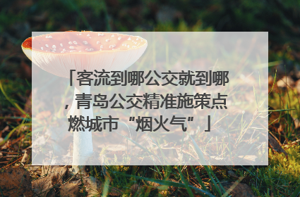 客流到哪公交就到哪，青岛公交精准施策点燃城市“烟火气”