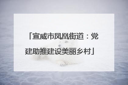 宣威市凤凰街道：党建助推建设美丽乡村