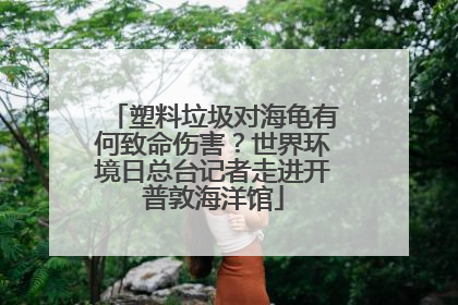 塑料垃圾对海龟有何致命伤害？世界环境日总台记者走进开普敦海洋馆