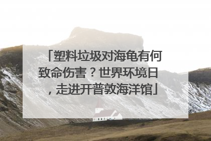 塑料垃圾对海龟有何致命伤害？世界环境日，走进开普敦海洋馆