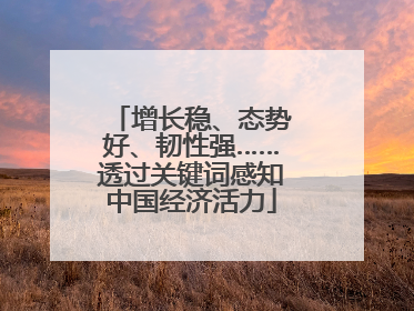 增长稳、态势好、韧性强……透过关键词感知中国经济活力