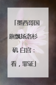 墨西哥国旗飘扬洛杉矶 白宫：看，罪证