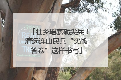 壮乡瑶寨砺尖兵！清远连山民兵“实战答卷”这样书写